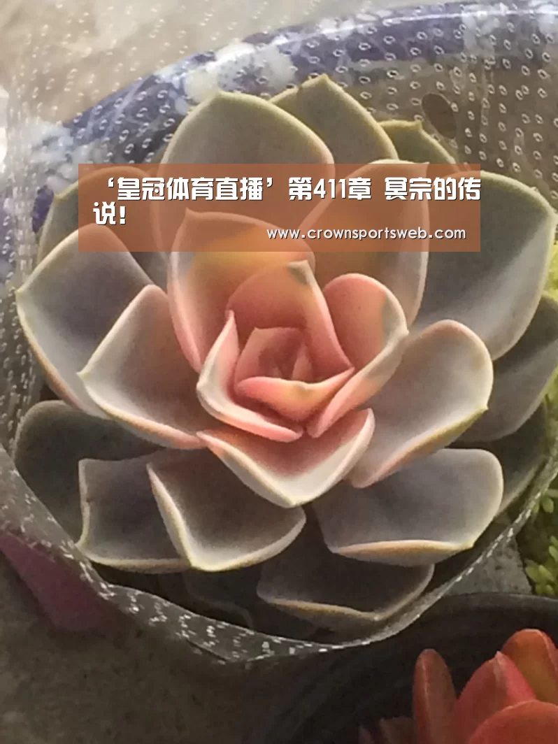 皇冠体育直播